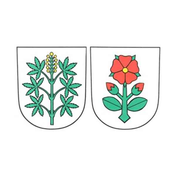 Gemeindeversammlung sagt Ja zum Gestaltungsplan Torfmatt 19. März 2026